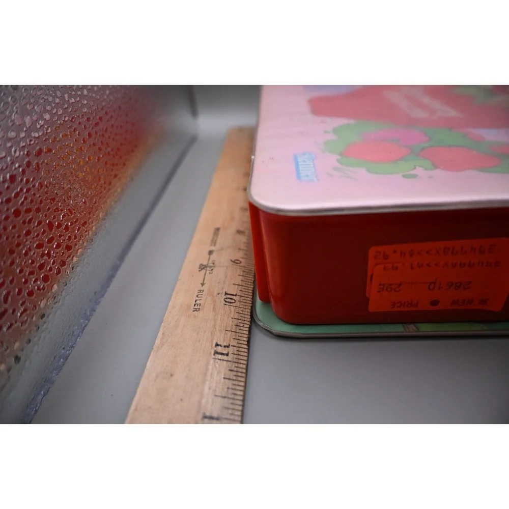 Vintage Strawberry Shortcake Carry Case Kenner 1980s Storage Organizer Only